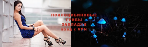 ГАЛЛЮЦИНОГЕННЫЕ ГРИБЫ Богородицк