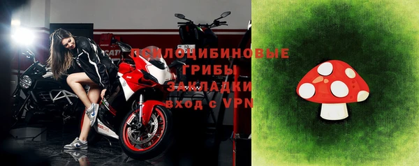 ГАЛЛЮЦИНОГЕННЫЕ ГРИБЫ Богородицк