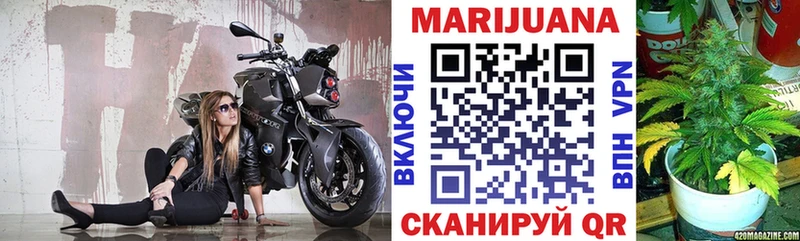 купить   Кологрив  Каннабис OG Kush 